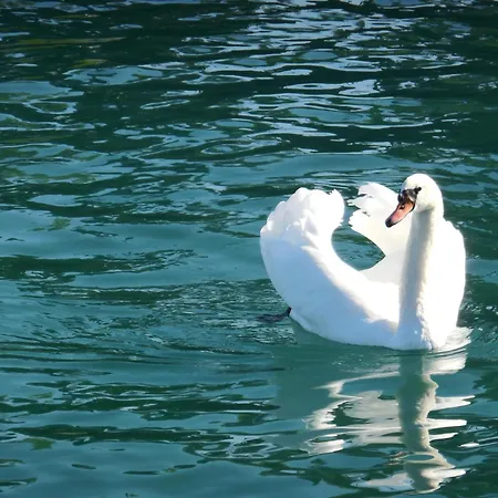 Palazzo Ai Capitani Peschiera del Garda