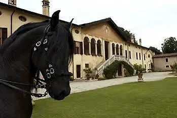 מלון Palazzo Ai Capitani 4*